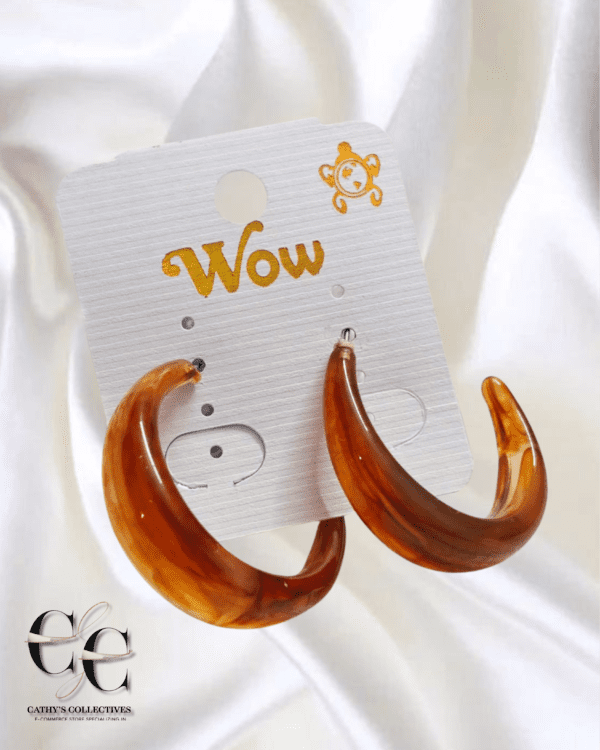 Western Earrings