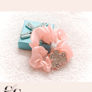 Trendy stylish Jimmy choo hair bands with stone