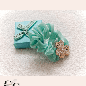 Trendy stylish Jimmy choo hair bands with stone