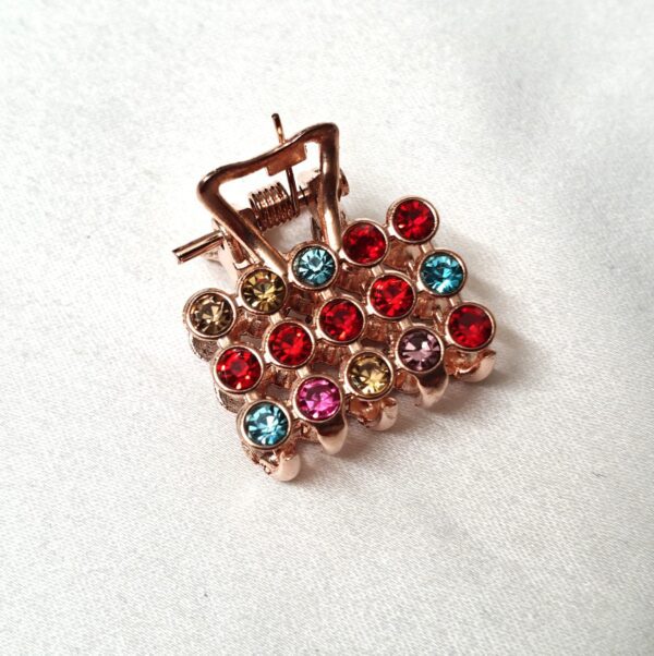 CC Trendy Stone Hair Claw
