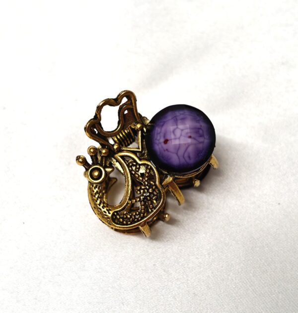 CC Trendy Stone Hair Claw