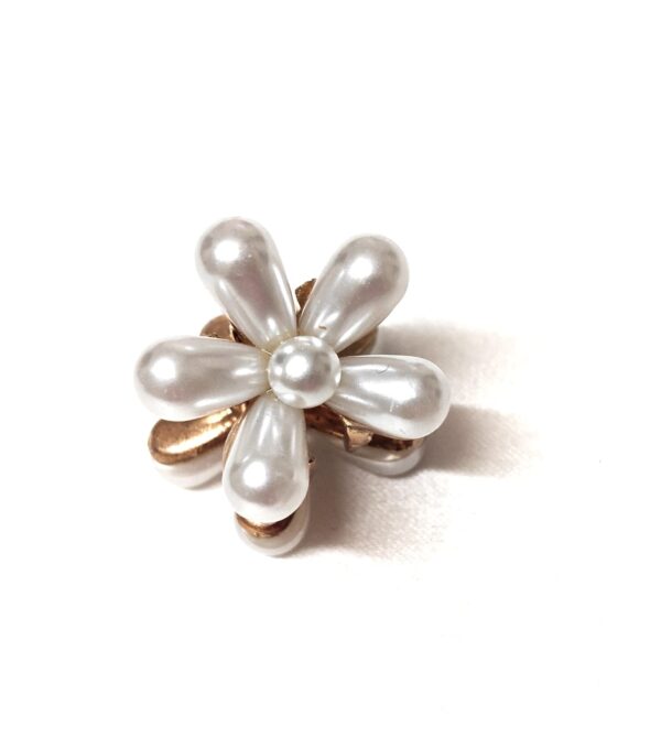 CC Trendy Stone Hair Claw