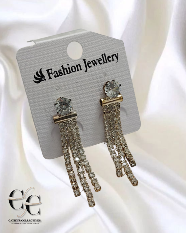 Western Earrings