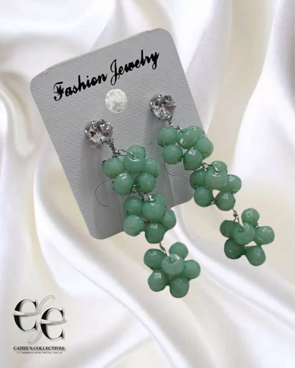 Western Earrings