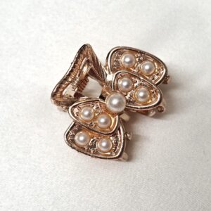 CC Trendy Stone Hair Claw