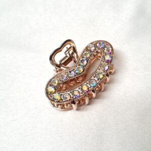 CC Trendy Stone Hair Claw