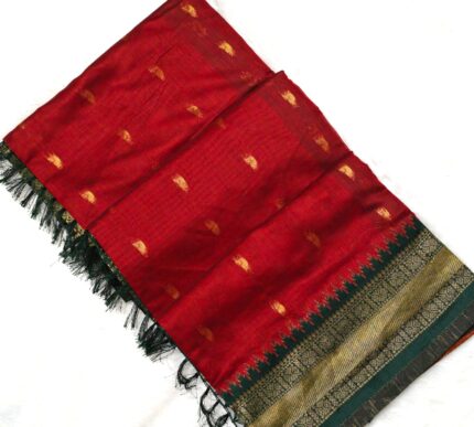 CC Trendy Kalyani Cotton Saree With Contrast Running Blouse